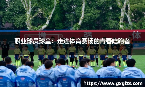 球速平台